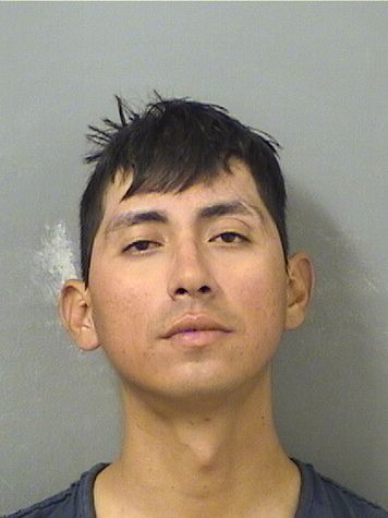  THOMAS JONATHAN ARROYO Results from Palm Beach County Florida for  THOMAS JONATHAN ARROYO