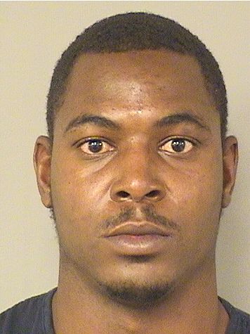  MICHAEL J GARY Results from Palm Beach County Florida for  MICHAEL J GARY