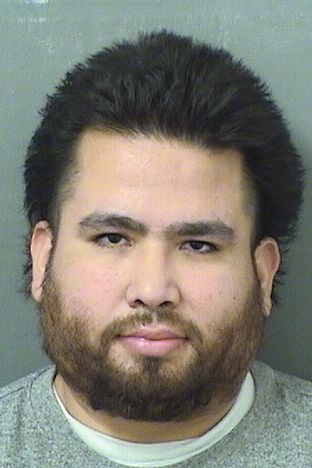  ALAN R AVALOS Results from Palm Beach County Florida for  ALAN R AVALOS