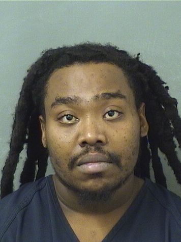  WOLF CHRISTIAN JANVIER Results from Palm Beach County Florida for  WOLF CHRISTIAN JANVIER