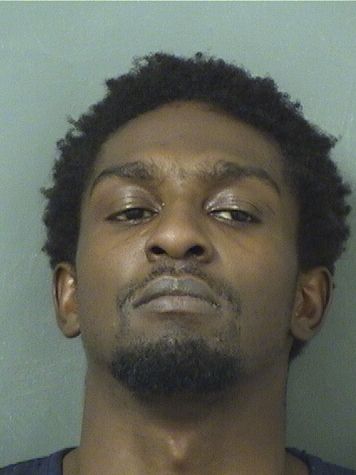  GIOVANNI BEAUVOIR Results from Palm Beach County Florida for  GIOVANNI BEAUVOIR