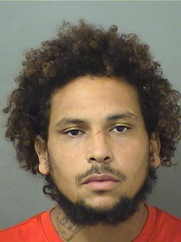  DEONDRE BROWN Results from Palm Beach County Florida for  DEONDRE BROWN