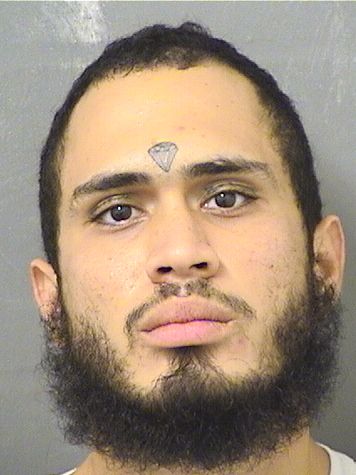  SAMUEL FELIX REYES Results from Palm Beach County Florida for  SAMUEL FELIX REYES