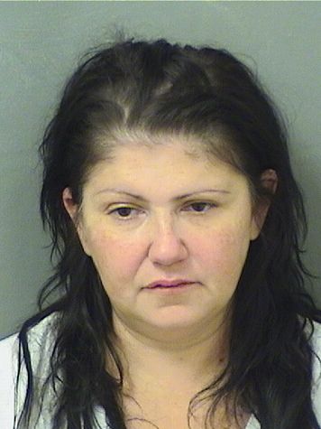  DENISE CHRISTINE SANDOVAL Results from Palm Beach County Florida for  DENISE CHRISTINE SANDOVAL