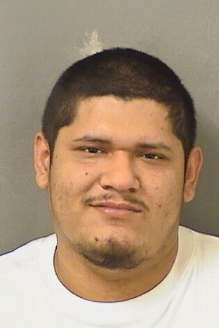  JONATHAN ACUNA Results from Palm Beach County Florida for  JONATHAN ACUNA