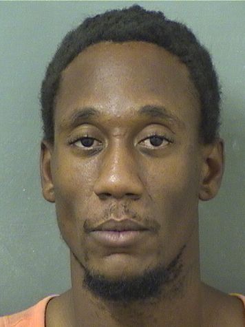  STRISTAN E WILLIAMS Results from Palm Beach County Florida for  STRISTAN E WILLIAMS