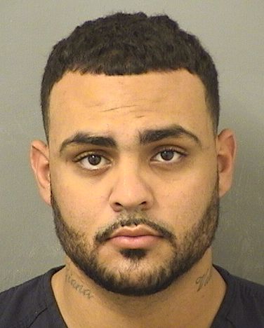  CHRISTOPHER R ROSA Results from Palm Beach County Florida for  CHRISTOPHER R ROSA