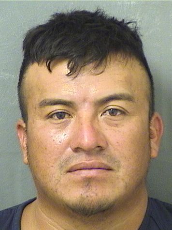  ALEXANDER ALFARO Results from Palm Beach County Florida for  ALEXANDER ALFARO