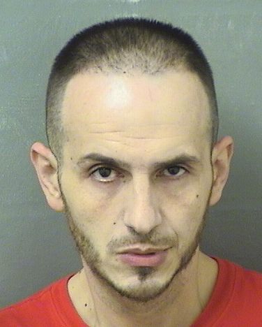  MUHAMED ISMAILI Results from Palm Beach County Florida for  MUHAMED ISMAILI