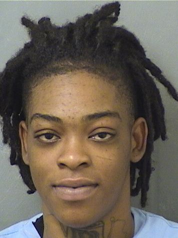  EBONY L WEST Results from Palm Beach County Florida for  EBONY L WEST