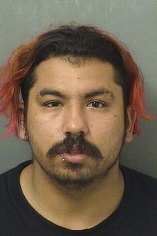  NICHOLAS MCCAFFERY Photo For  NICHOLAS MCCAFFERY