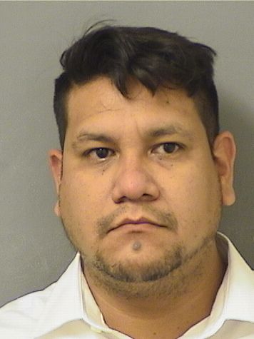  MIGUEL ALEXANDER ULLAURICOBENA Photo For  MIGUEL ALEXANDER ULLAURICOBENA