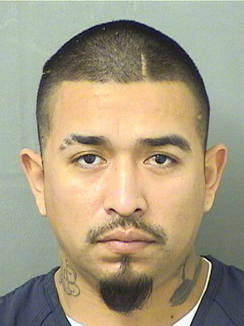  LUIS FERNANDO RUIZGARCIA Results from Palm Beach County Florida for  LUIS FERNANDO RUIZGARCIA