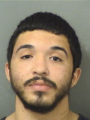  CHRISTIAN PATRICK CIGGS Results from Palm Beach County Florida for  CHRISTIAN PATRICK CIGGS