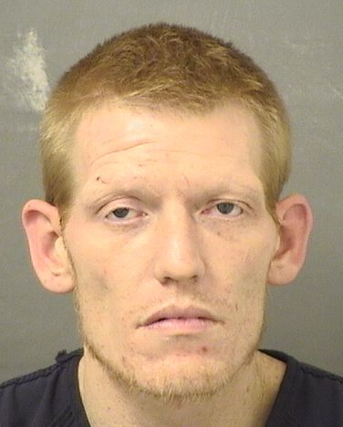  WILLIAM C GRIFFIS Photo For  WILLIAM C GRIFFIS