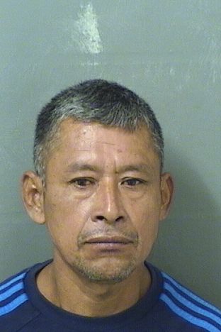 JESUS DOMINGORAMIREZ Results from Palm Beach County Florida for JESUS DOMINGORAMIREZ JESUS DOMINGORAMIREZ Results from Palm Beach County Florida for JESUS DOMINGORAMIREZ