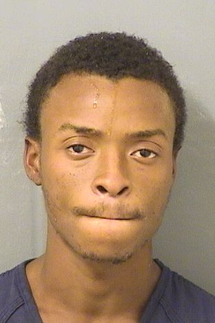  STEPHANE ERARD Results from Palm Beach County Florida for  STEPHANE ERARD