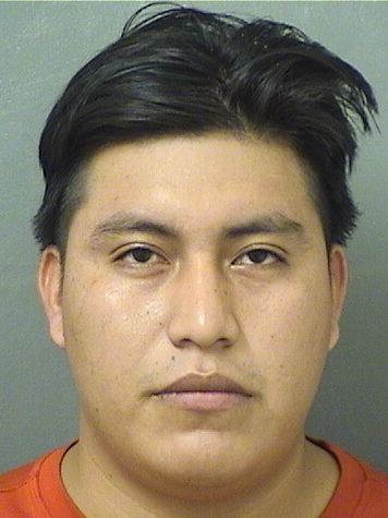  FREDY P MENDEZ Photo For  FREDY P MENDEZ