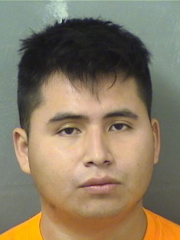  ELBER ESTUARDO HERRERALUCAS Results from Palm Beach County Florida for  ELBER ESTUARDO HERRERALUCAS