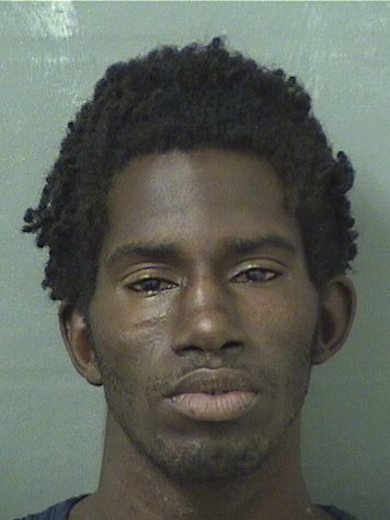  THOMAS MICAEL WILKERSON Results from Palm Beach County Florida for  THOMAS MICAEL WILKERSON
