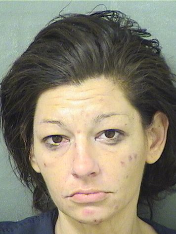  COURTNEY L HONEYCUTT Results from Palm Beach County Florida for  COURTNEY L HONEYCUTT