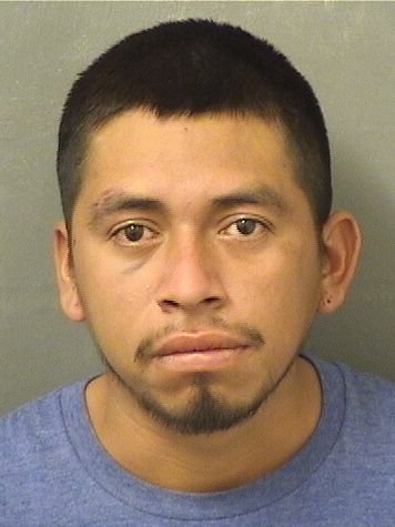  OLMAN EVERALDO MONZONVELAZQUEZ Results from Palm Beach County Florida for  OLMAN EVERALDO MONZONVELAZQUEZ