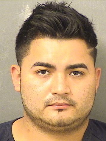  JOSE CASTILLORODRIGUEZ Results from Palm Beach County Florida for  JOSE CASTILLORODRIGUEZ