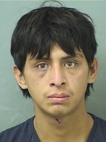  DAVID SILVESTREMATIAS Resultados de la busqueda para Palm Beach County Florida para  DAVID SILVESTREMATIAS