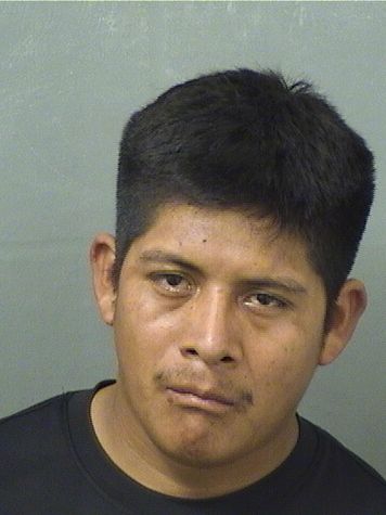  ALFONSO PHILLIPE VELASQUEZ Results from Palm Beach County Florida for  ALFONSO PHILLIPE VELASQUEZ