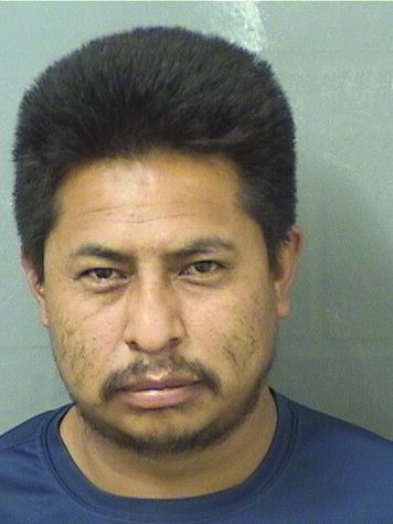  DELMAR JEREMIAS CAHUEXPUAC Resultados de la busqueda para Palm Beach County Florida para  DELMAR JEREMIAS CAHUEXPUAC