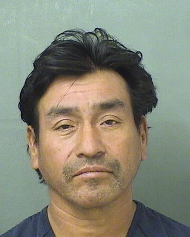  JOSE D MATEO Photo For  JOSE D MATEO