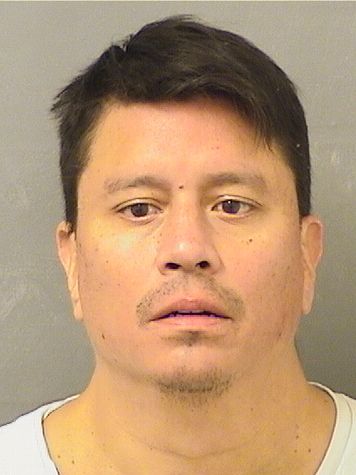  LUIS PARRAGA Results from Palm Beach County Florida for  LUIS PARRAGA