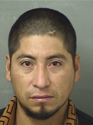  SANTOS QUINONEZCAMPOSECO Results from Palm Beach County Florida for  SANTOS QUINONEZCAMPOSECO