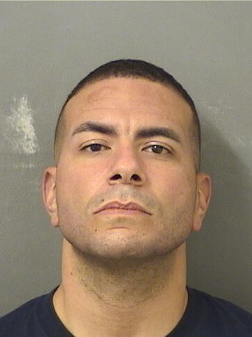  ADONIS J GONZALEZ Results from Palm Beach County Florida for  ADONIS J GONZALEZ