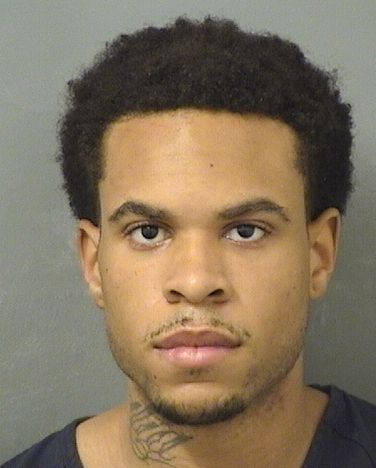  NIGEL XAVIER COX Resultados de la busqueda para Palm Beach County Florida para  NIGEL XAVIER COX