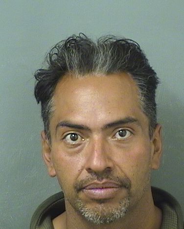  JOHN JC Resultados de la busqueda para Palm Beach County Florida para  JOHN JC