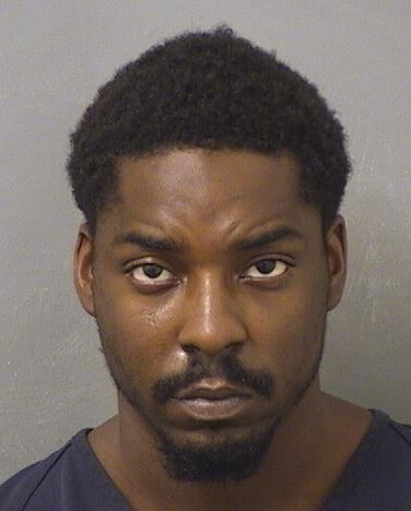  RODNEY LEE Jr JONES Results from Palm Beach County Florida for  RODNEY LEE Jr JONES