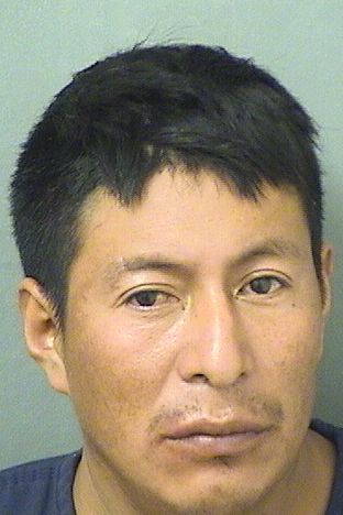  ARNOLDO MAURICIO Results from Palm Beach County Florida for  ARNOLDO MAURICIO