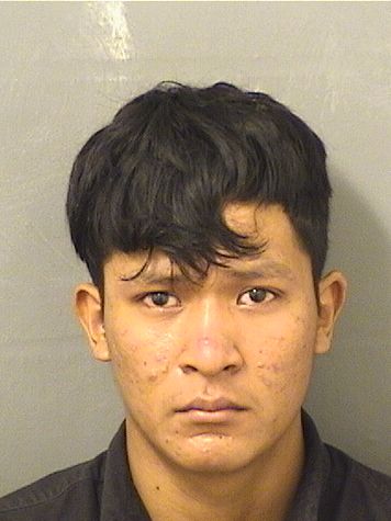  WILMAR DANIEL VELASQUEZMORALES Results from Palm Beach County Florida for  WILMAR DANIEL VELASQUEZMORALES