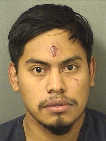 JOSUE ELIAS BRITOHERRERA Results from Palm Beach County Florida for JOSUE ELIAS BRITOHERRERA JOSUE ELIAS BRITOHERRERA Results from Palm Beach County Florida for JOSUE ELIAS BRITOHERRERA