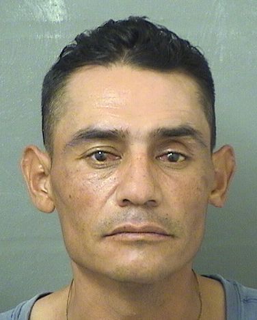 HERMILO TAMAYOGOMEZ Results from Palm Beach County Florida for HERMILO TAMAYOGOMEZ HERMILO TAMAYOGOMEZ Results from Palm Beach County Florida for HERMILO TAMAYOGOMEZ