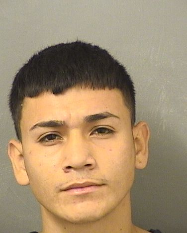  HENRY J BENITEZVILLATORO Resultados de la busqueda para Palm Beach County Florida para  HENRY J BENITEZVILLATORO