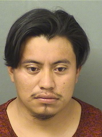  LIZANDRO RAMOSMENDOSA Results from Palm Beach County Florida for  LIZANDRO RAMOSMENDOSA