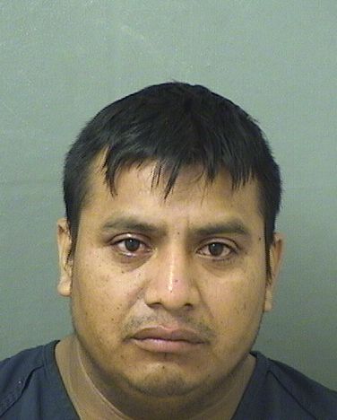  PASCUAL MANUELPASCUAL Resultados de la busqueda para Palm Beach County Florida para  PASCUAL MANUELPASCUAL