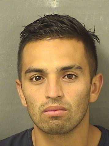  BRAYAN ARLEY FONQUECASTILLO Results from Palm Beach County Florida for  BRAYAN ARLEY FONQUECASTILLO