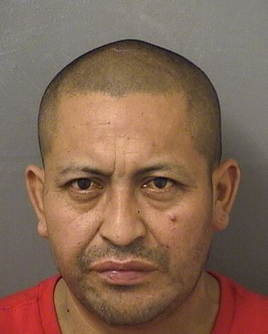 JUAN FRANCISCO XUNCAX Results from Palm Beach County Florida for JUAN FRANCISCO XUNCAX JUAN FRANCISCO XUNCAX Results from Palm Beach County Florida for JUAN FRANCISCO XUNCAX