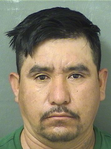  BERNARDO MAYADELGADO Photo For  BERNARDO MAYADELGADO