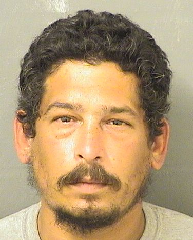  JUNIOR WILLIAM CINTRON Photo