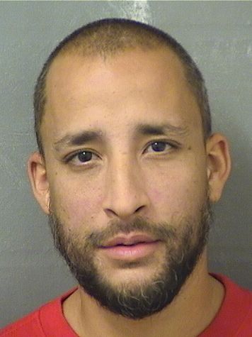  CHRISTOPHER GONZALEZ Results from Palm Beach County Florida for  CHRISTOPHER GONZALEZ