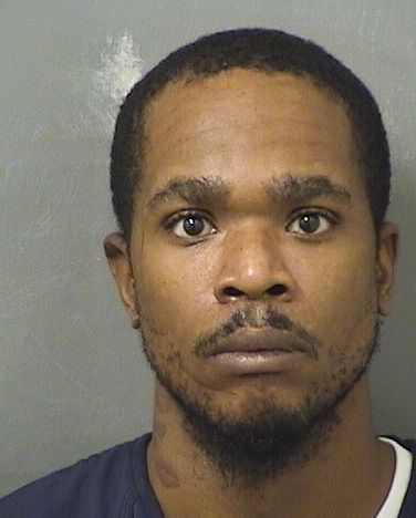  ANDREW L BRINKLEY Results from Palm Beach County Florida for  ANDREW L BRINKLEY